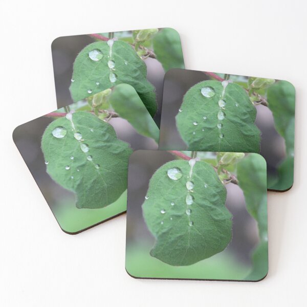 Item preview, Art by Mike Photography Photo Botany Leaf with Water Drops designed and sold by allartbymike.