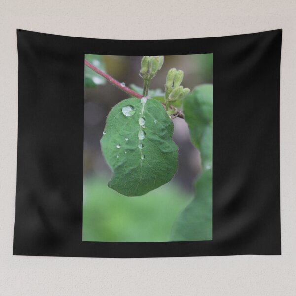 Item preview, Art by Mike Photography Photo Botany Leaf with Water Drops designed and sold by allartbymike.