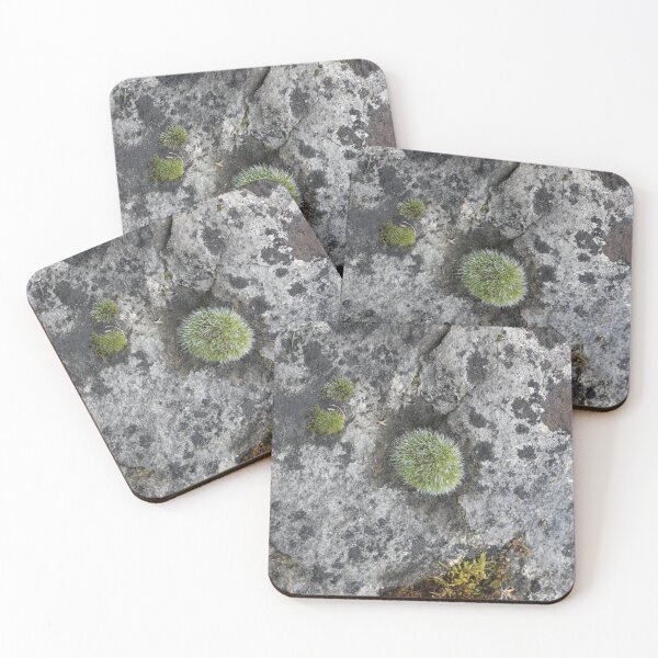 Item preview, Art by Mike Photography Photo Stone with mosses and lichens, weathered designed and sold by allartbymike.