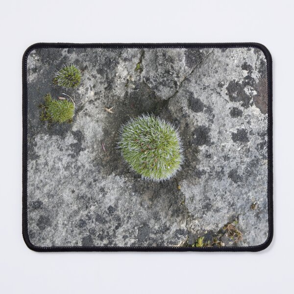 Item preview, Art by Mike Photography Photo Stone with mosses and lichens, weathered designed and sold by allartbymike.