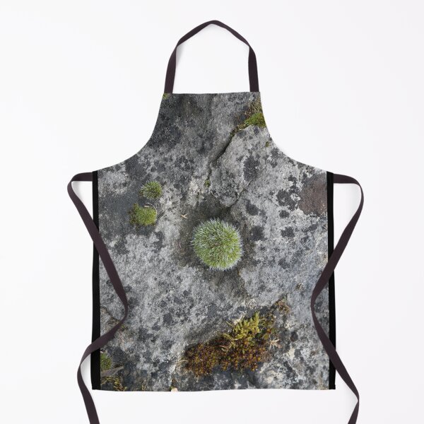 Item preview, Art by Mike Photography Photo Stone with mosses and lichens, weathered designed and sold by allartbymike.