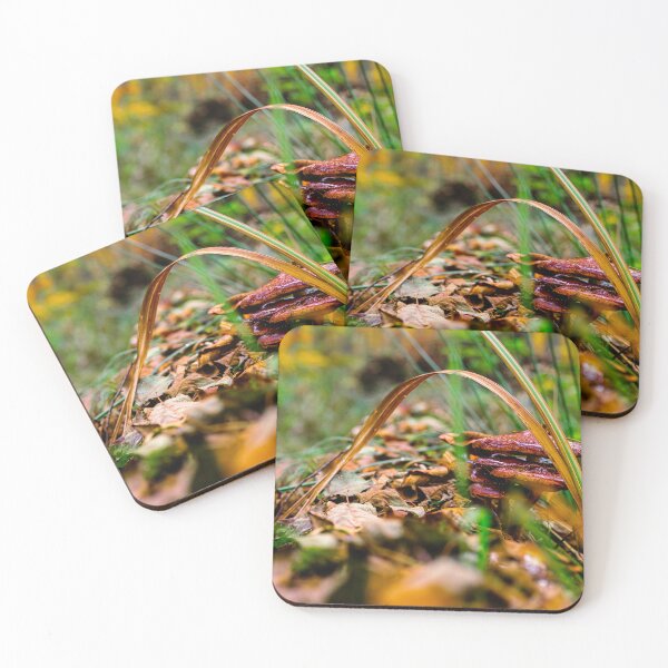 Item preview, Colorful mushroom designed and sold by MerryStomps.