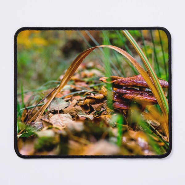Item preview, Colorful mushroom designed and sold by MerryStomps.