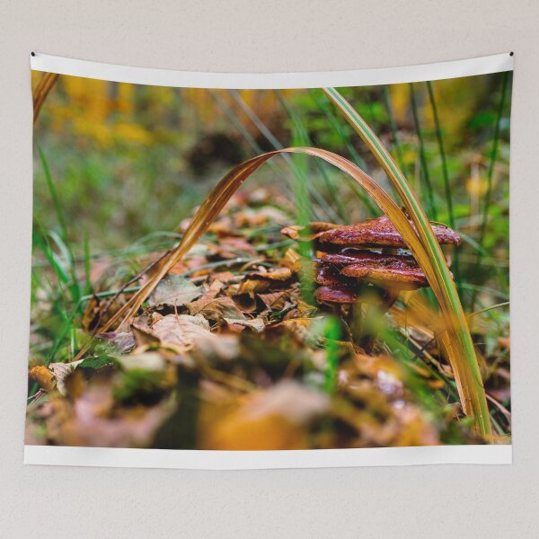 Item preview, Colorful mushroom designed and sold by MerryStomps.