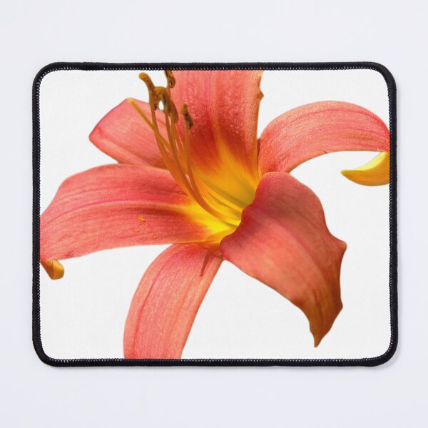 Item preview, Tiger Lily Flower designed and sold by lyssycreates.