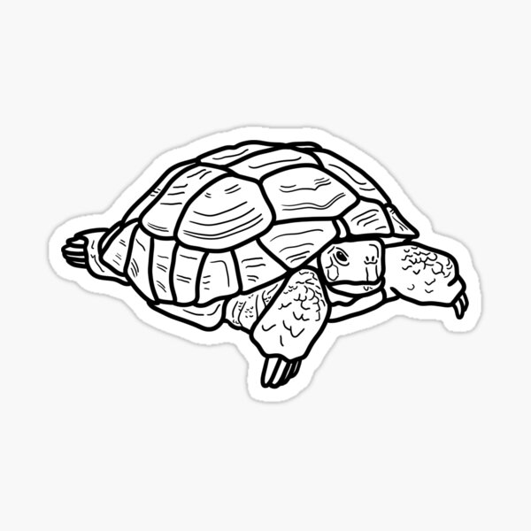 Item preview, Russian tortoise 2 designed and sold by P_Vask.