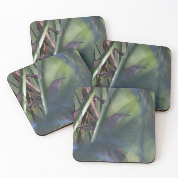 Item preview, Zapata Wren designed and sold by EnglandEcology.