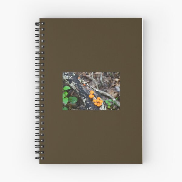 Item preview, Fungi in the Forest designed and sold by Prints of Grohowski .