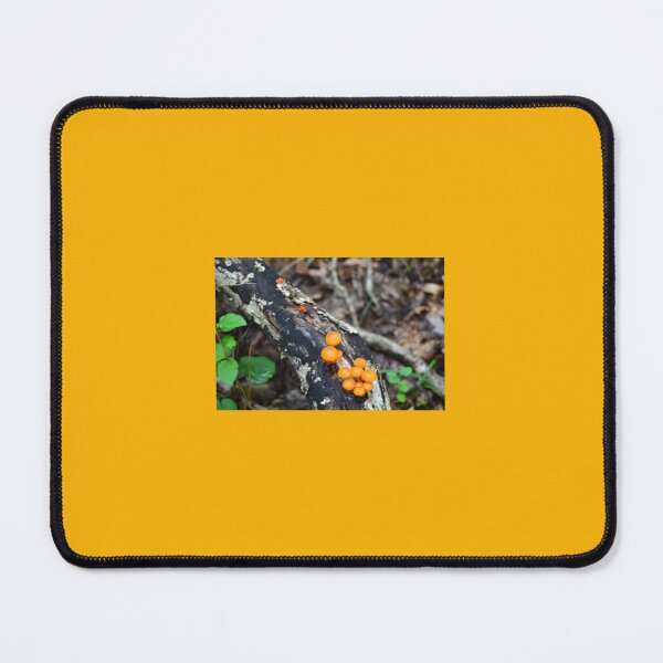 Item preview, Fungi in the Forest designed and sold by Prints of Grohowski .