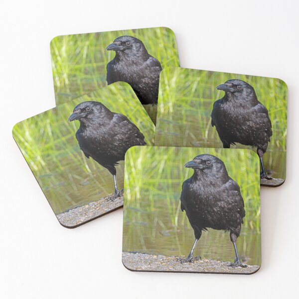 Item preview, Detailed American Crow portrait in the late-day sun designed and sold by lisavonbiela.