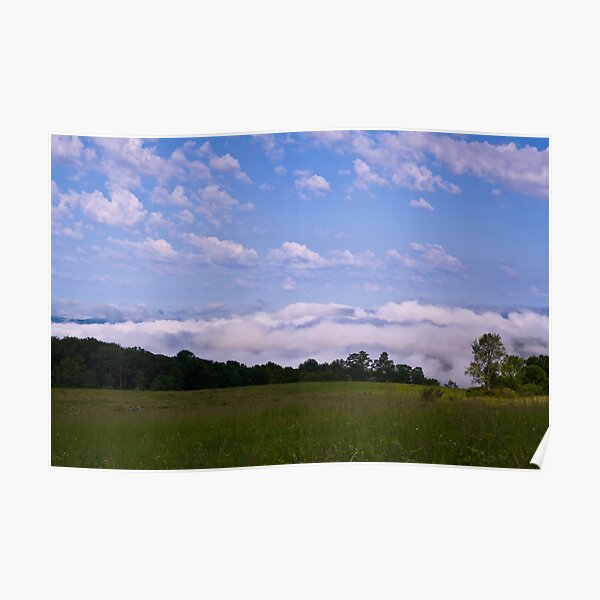 Foggy Morning Poster
