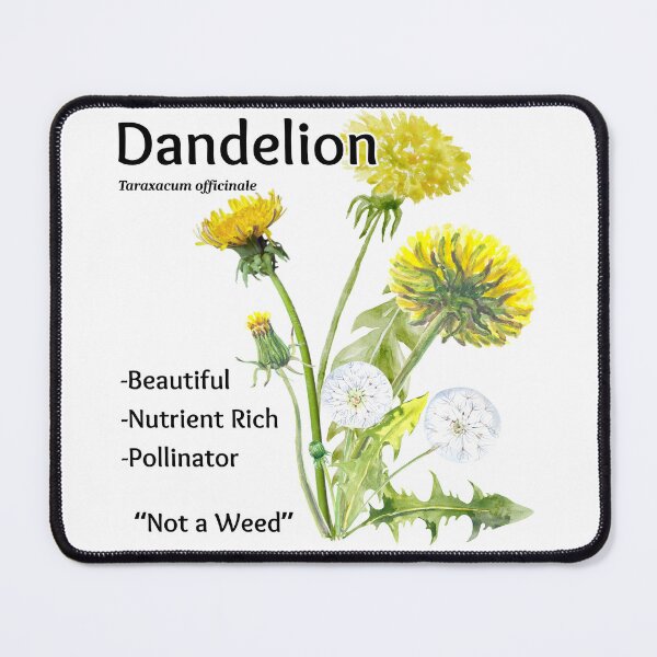 Item preview, Dandelion Flower designed and sold by Cedar Willow Designs.