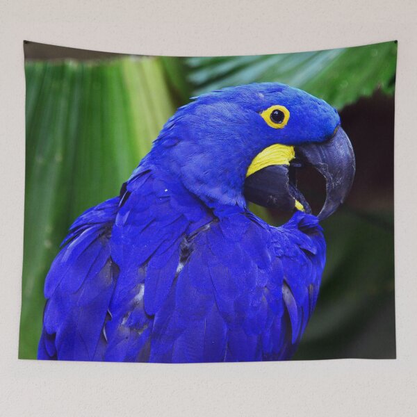 Item preview, Elegant Hyacinth Macaw Art Photo designed and sold by DEC02.