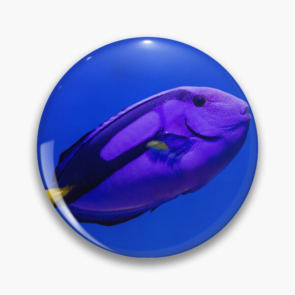 Item preview, Vibrant Blue Tang Fish in Clear Ocean Blue designed and sold by Aure50.