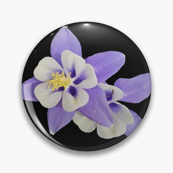 Item preview, blue columbine flower on a black background designed and sold by Lizzilzil.