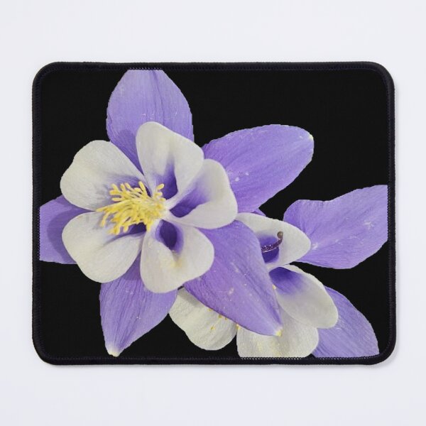 Item preview, blue columbine flower on a black background designed and sold by Lizzilzil.
