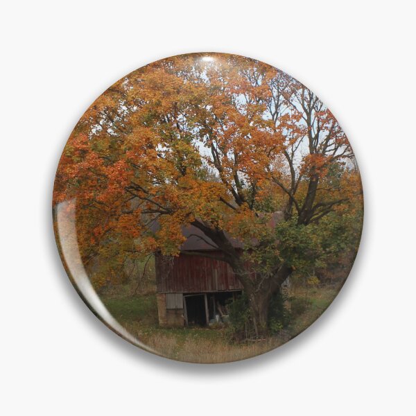 Item preview, When I am afraid, I put my trust in you. Psalms 56:3; Fall Day on the Farm A Reflection   designed and sold by GiftableGems.