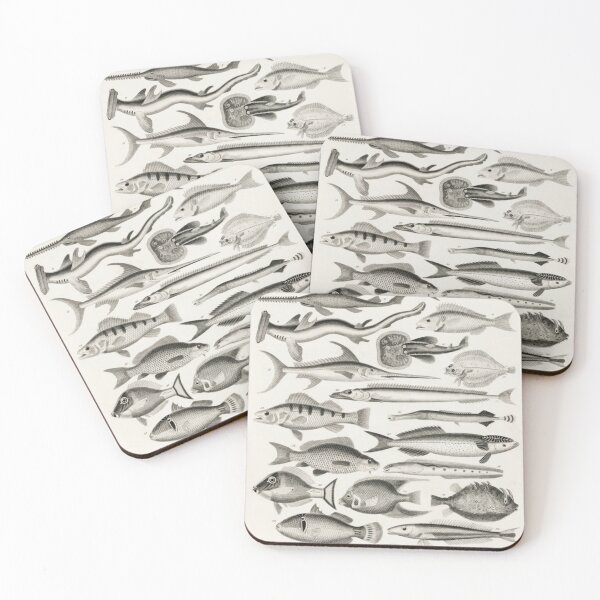 Item preview, Fish Chart designed and sold by BlueSpecsStudio.