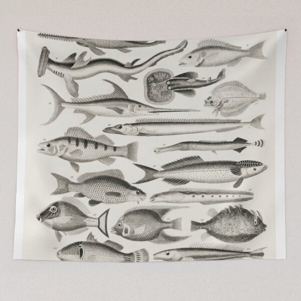 Item preview, Fish Chart designed and sold by BlueSpecsStudio.