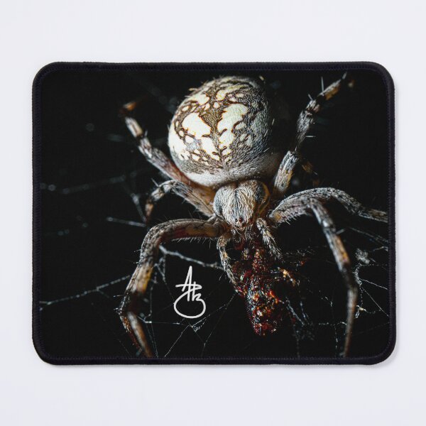 Item preview, Spider designed and sold by streetphotorgv.
