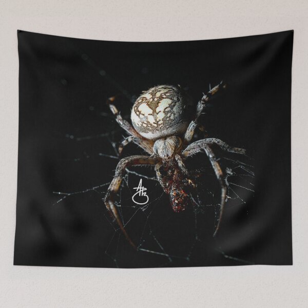 Item preview, Spider designed and sold by streetphotorgv.