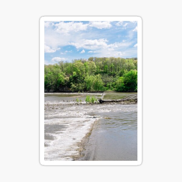 Artikel-Vorschau von Umgestürzter Baum im Fluss mit Wald und blauem Himmel im Hintergrund, designt und verkauft von jconneryphoto.