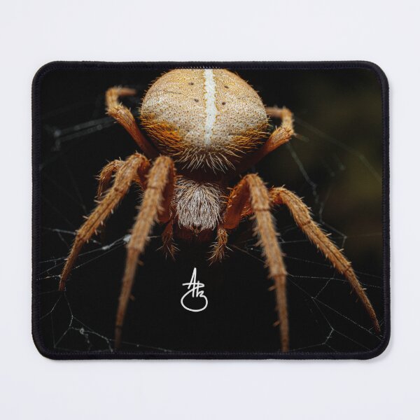 Item preview, Arachnid designed and sold by streetphotorgv.