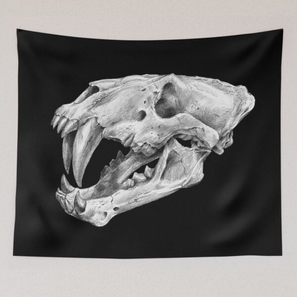 Item preview, Xenosmilus sabertooth cat skull | Pencil Art designed and sold by Tatiana Yamshanova.