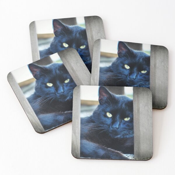 Item preview, Little Black Kitty designed and sold by Frankie Cat Photography.