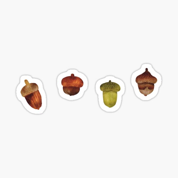 Item preview, Colorful acorns designed and sold by mangopuffstudio.
