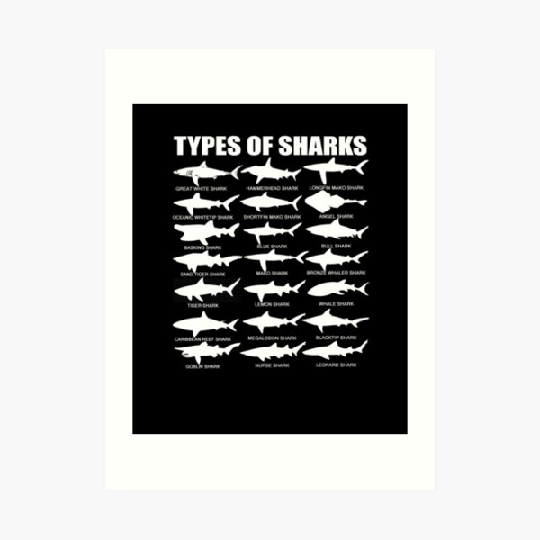 21 Types of Sharks Art Print