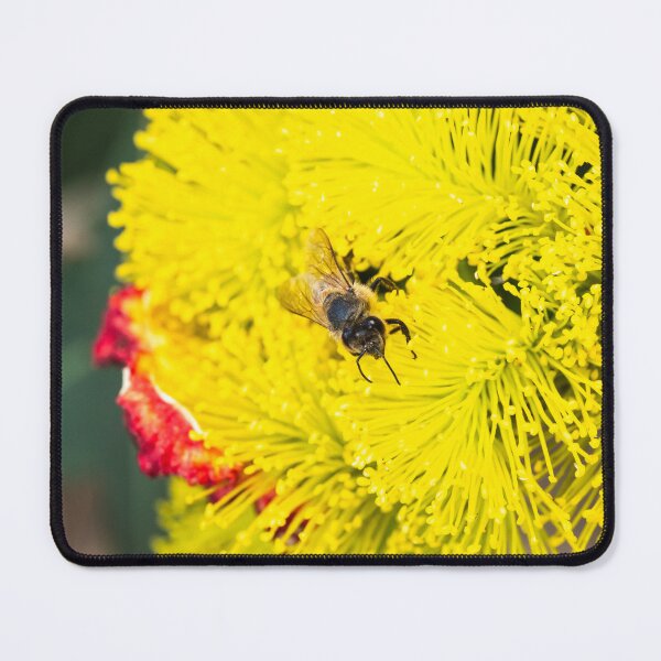Item preview, Bee polinating yellow flowers #2 designed and sold by Images by Chris de Blank.