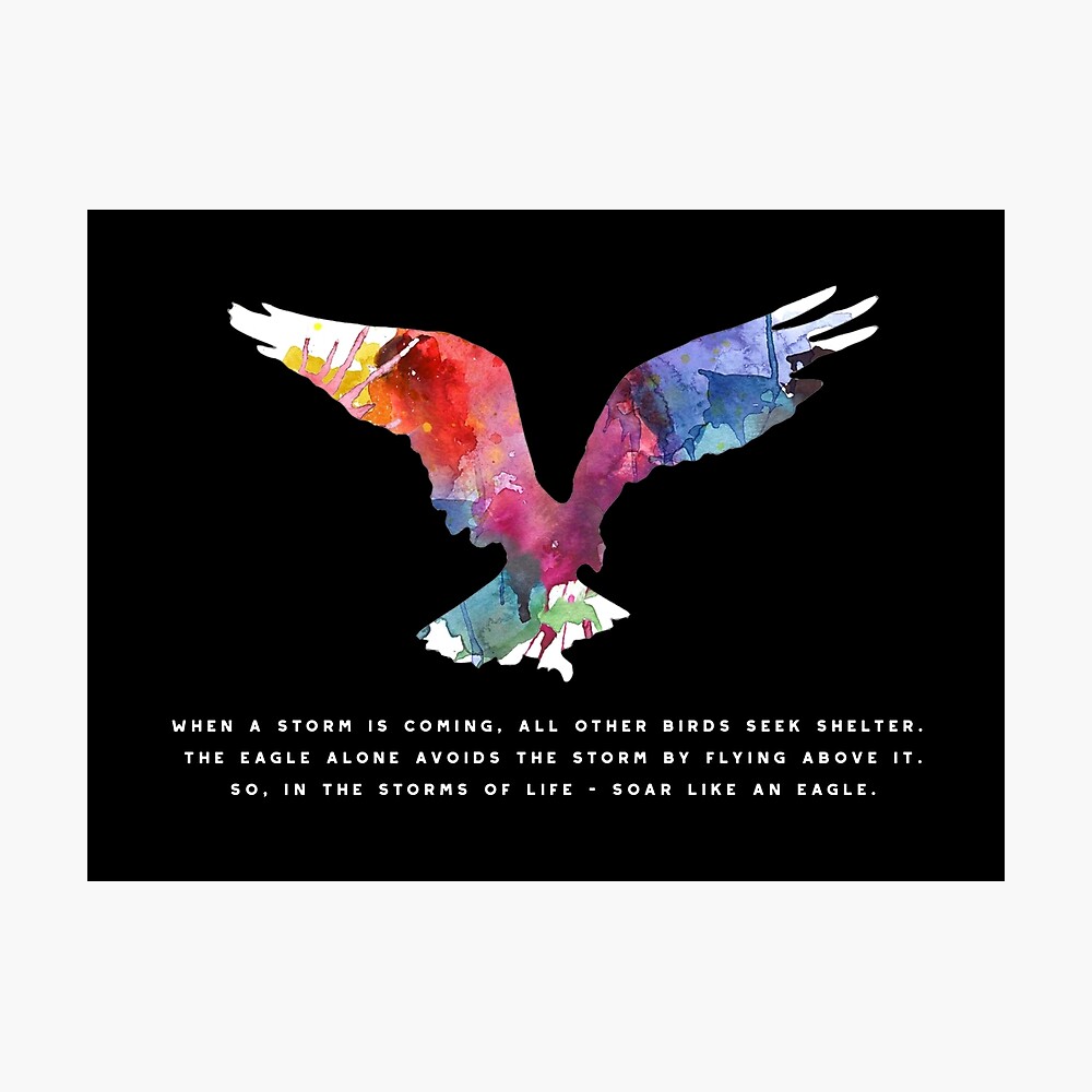 Poster Dire Citation Inspiree Eagle Par Stylesyndikat Redbubble