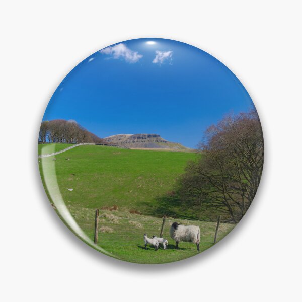 Item preview, Spring Lambs at Pen y Ghent designed and sold by Alisonchambers2.