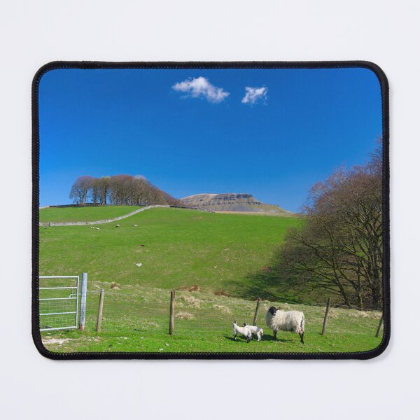 Item preview, Spring Lambs at Pen y Ghent designed and sold by Alisonchambers2.