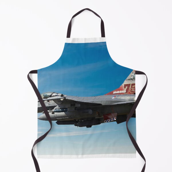 Item preview, F-16 Fighting Falcon designed and sold by Skyframe Aviation.