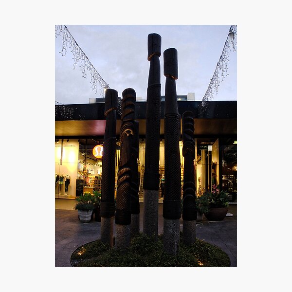 Courtyard Garden Posts Photographic Print