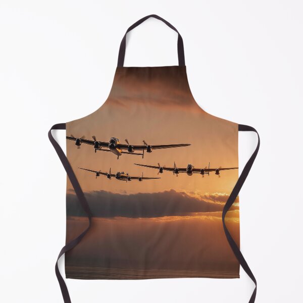 Item preview, Evening Sortie designed and sold by Skyframe Aviation.