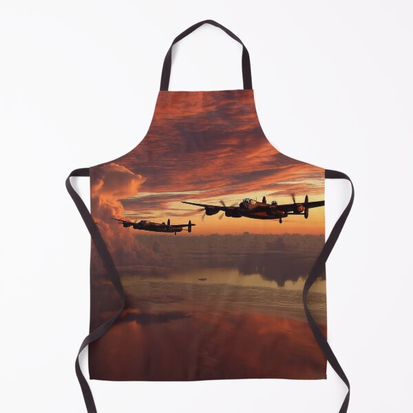 Item preview, Evening Sortie designed and sold by Skyframe Aviation.
