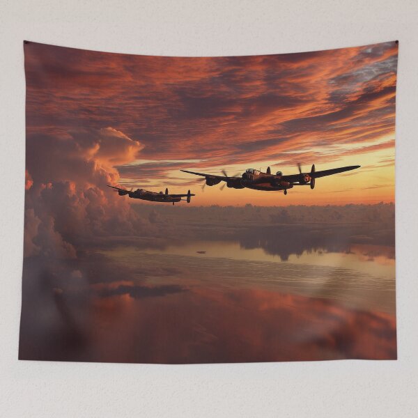 Item preview, Evening Sortie designed and sold by Skyframe Aviation.