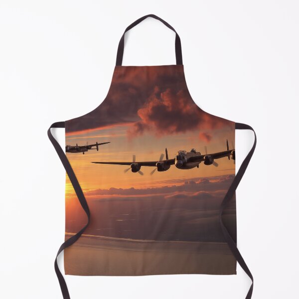 Item preview, Evening Sortie designed and sold by Skyframe Aviation.