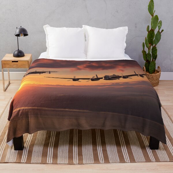 Item preview, Evening Sortie designed and sold by Skyframe Aviation.