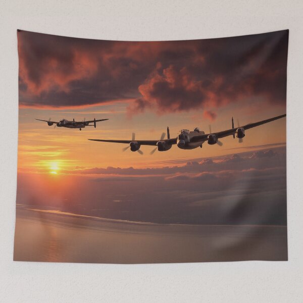 Item preview, Evening Sortie designed and sold by Skyframe Aviation.