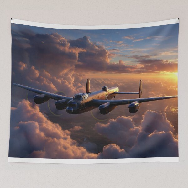 Item preview, The Setting Sun designed and sold by Skyframe Aviation.