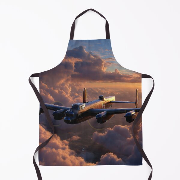 Item preview, The Setting Sun designed and sold by Skyframe Aviation.