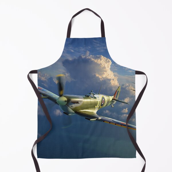 Item preview, Defenders Of The Realm designed and sold by Skyframe Aviation.