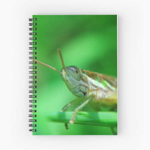 Item preview, Grasshopper Chilling designed and sold by praveenclicks.