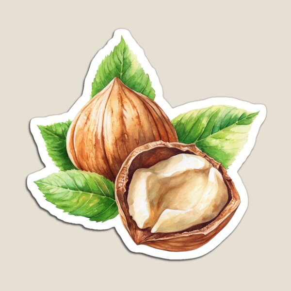 Aperçu de l'œuvre Noisette saine créée et vendue par GingerCoolArt.