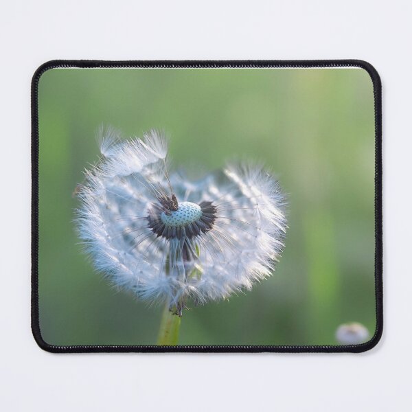 Item preview, Dandelion with seeds blowing away in the wind across a clear greenery designed and sold by Teqmi-images.