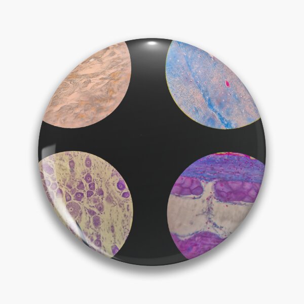 Item preview, Histology Set #4 – Connective Tissues & Neural Cells Microscope Slides designed and sold by Paws-e-whiskers.